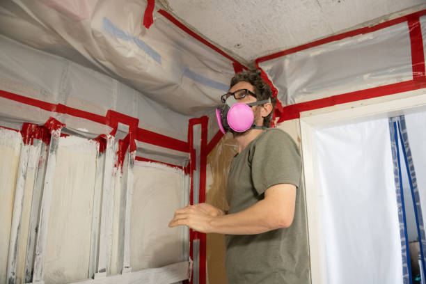 Salineville, OH Mold Inspection, Removal & Remediation Company